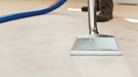 Carpet cleaning wand head gliding over a light carpet during hot-water extraction, Phoenix, AZ.